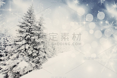 圣诞节的背景与雪冷杉树