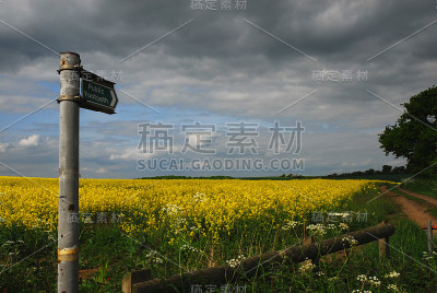 公共走道