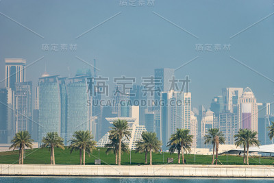 多哈的现代天际线全景与棕榈树前景。健康环境的概念
