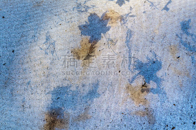 叶的印象