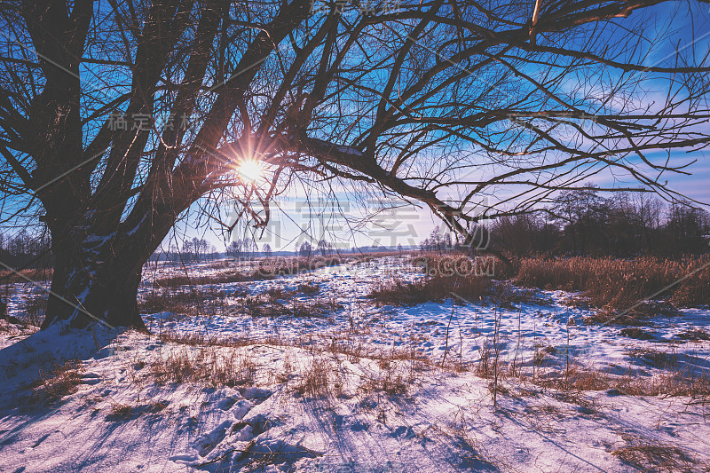 冬天的风景。乡间的傍晚。夕阳与美丽的天空覆盖着皑皑白雪的田野。带着神奇光芒的乡村景观