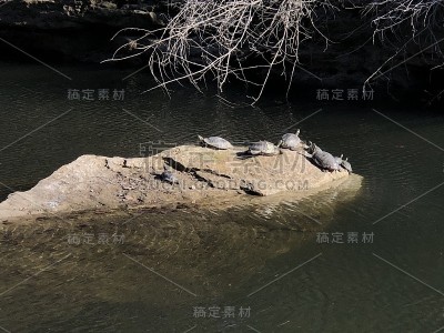 徒步旅行