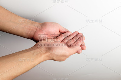 棕榈