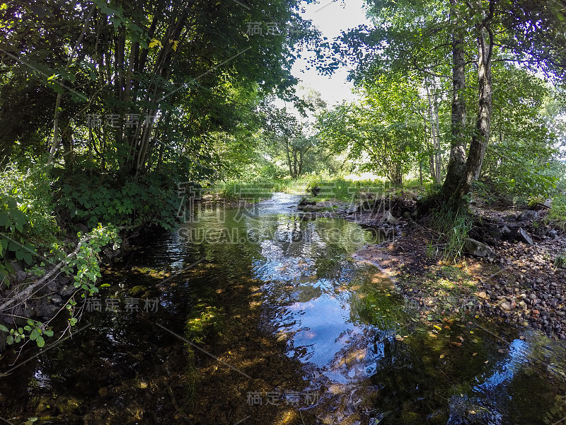 福勒斯特河