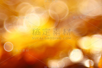 金橘秋季背景模糊散焦，散焦镜头