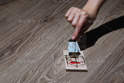 捕鼠器和美元的手