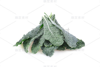 白底羽衣甘蓝