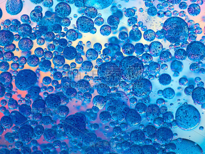 微小的生物