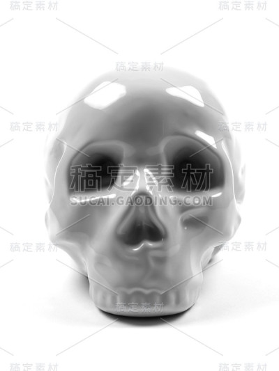 人类头骨