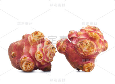白底上的菊芋
