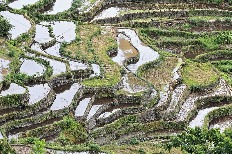 Batad村-从小屋地区看大米梯田。Banaue-Ifugao-Luzon-Phlippines。0