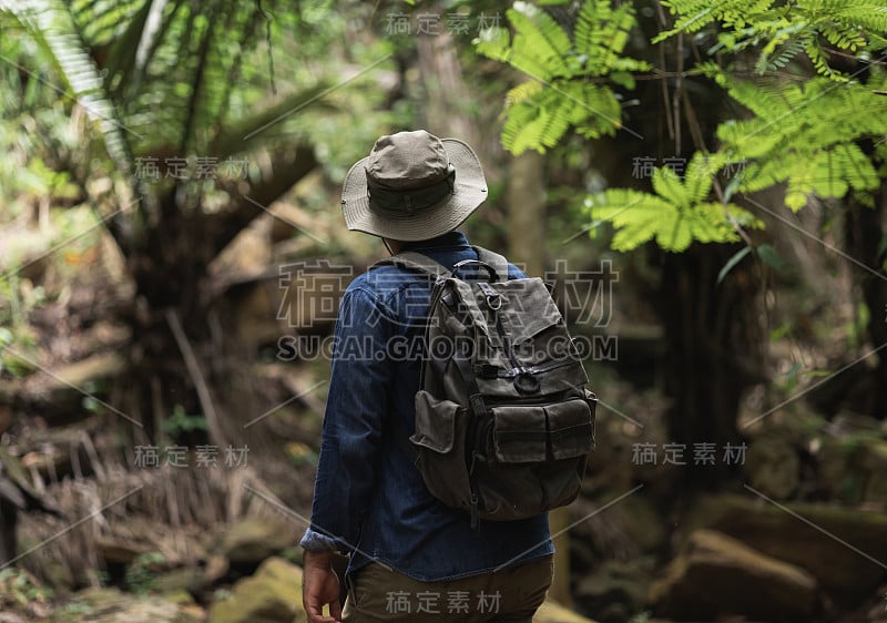 徒步旅行者在大自然美丽的热带雨林中旅行。年轻的亚洲人踏上了穿越森林的旅程。