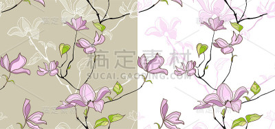 木兰的花