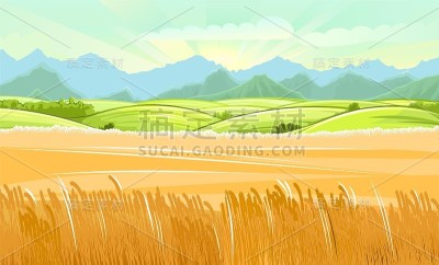 麦田。农村的风景。草甸山和牧场。谷物穗:大麦，黑麦。夏日田园风光。地平线上有山。插图。向量