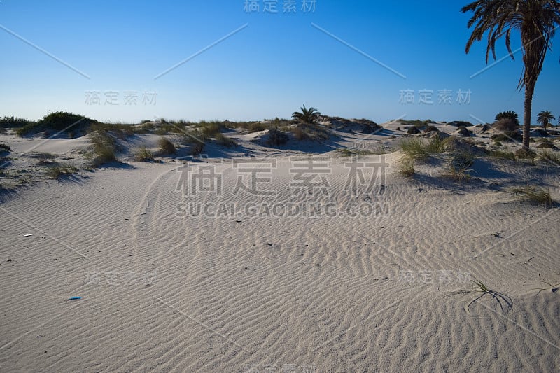 突尼斯的野性。北非地中海沿岸