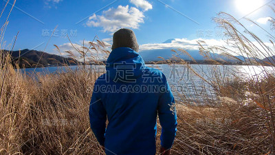 日本——一个男人走在川口湖岸边的金色草地上，欣赏着富士山的景色