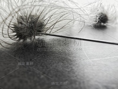 来自的冠状病毒株模型。新型冠状病毒疫苗。