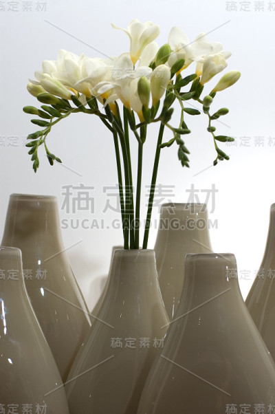 布鲁门瓦森