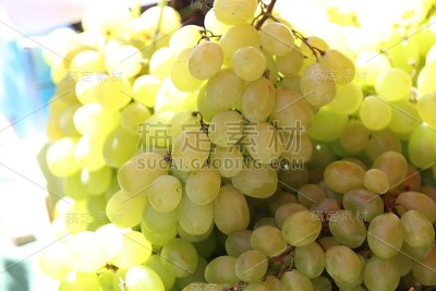 蔬菜市场