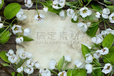树枝和梨子花放在破旧的木板上