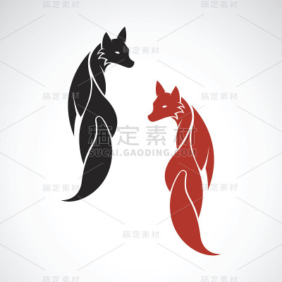 矢量图像的狐狸设计在白色的背景