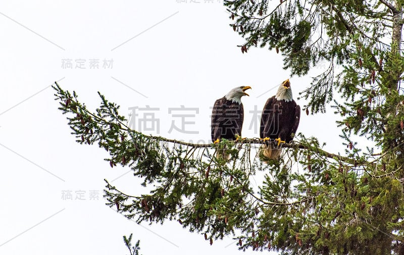 爱在本质上