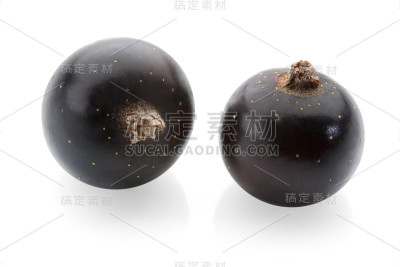 白色背景上的黑醋栗