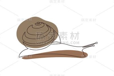 绘有条纹壳的蜗牛在白色背景上抽象的棕色斑点上有一条实线