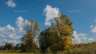 秋季景观t