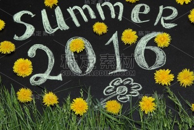 2016年夏天黄色的蒲公英