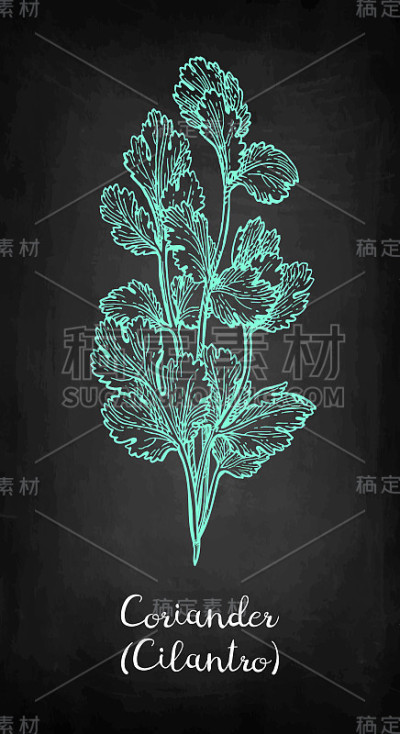 香菜粉笔画。