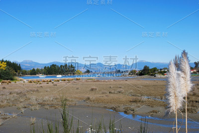 “Toitoi”或“Toetoe”草，马普亚河口，新西兰