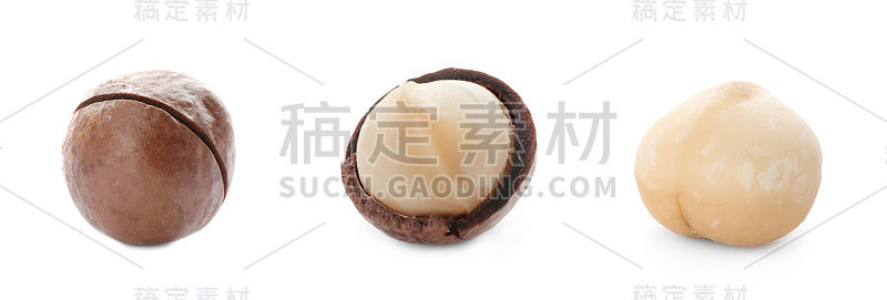 配以美味的澳洲坚果，白色背景。旗帜设计