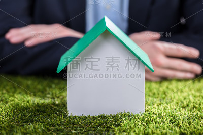 一个房子模型在绿色草地上的特写