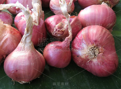 红洋葱3
