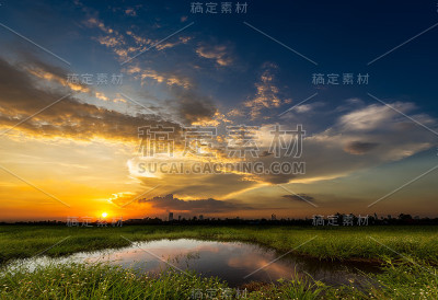 乡村景色中的日落