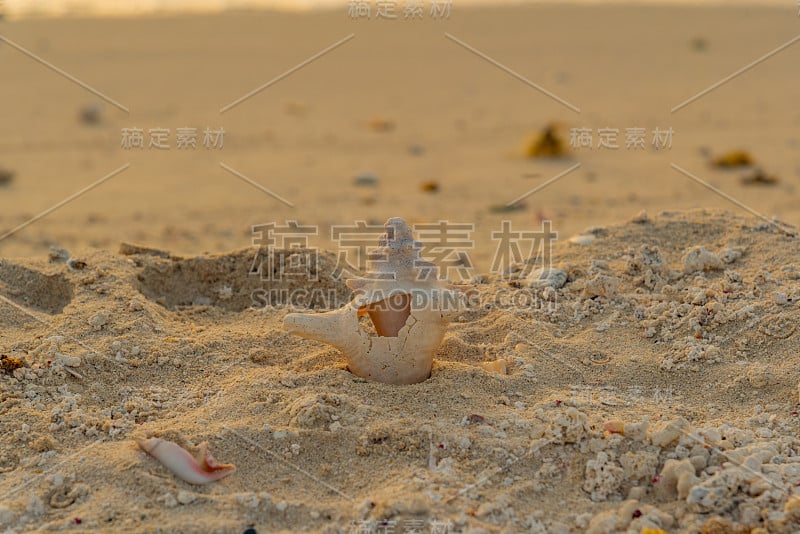 阿鲁巴加勒比岛的全景