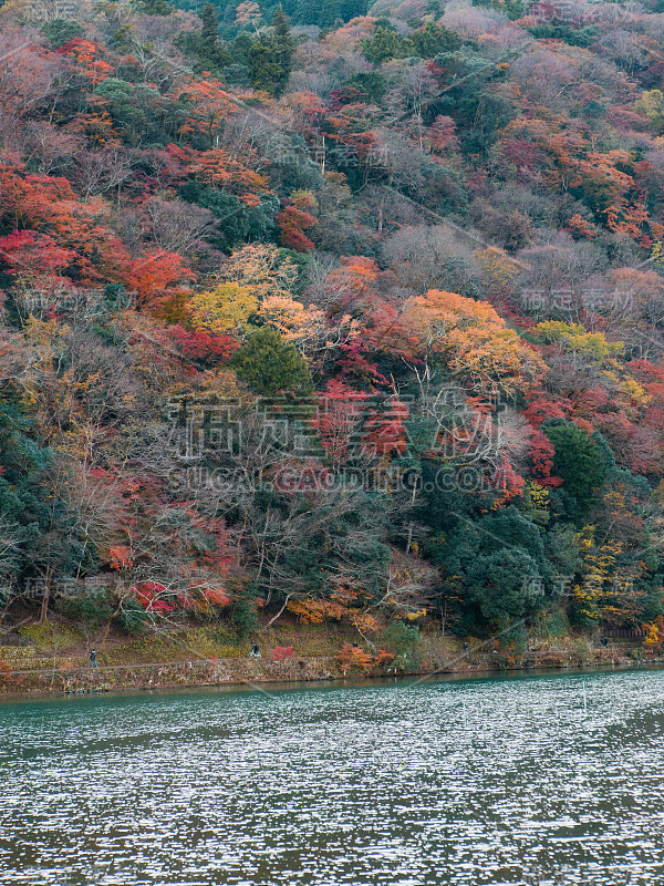 岚山之秋