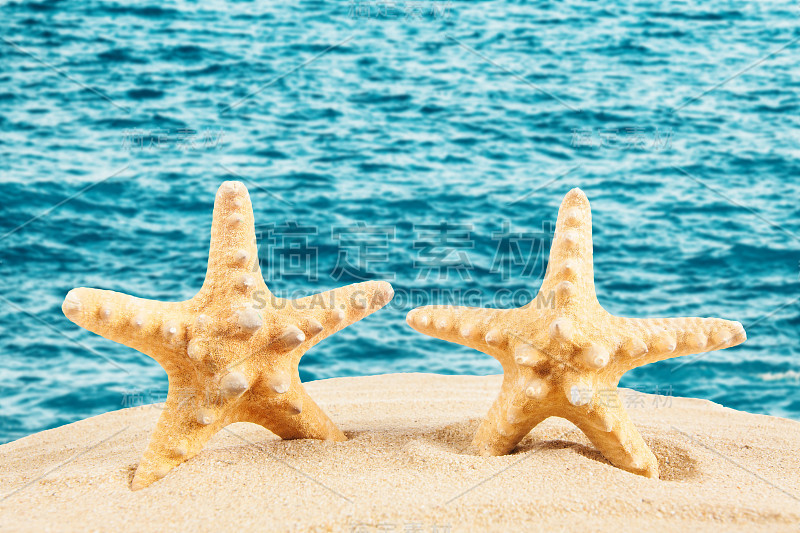 沙滩上的海星，旅游概念。夏天的背景。夏天的概念