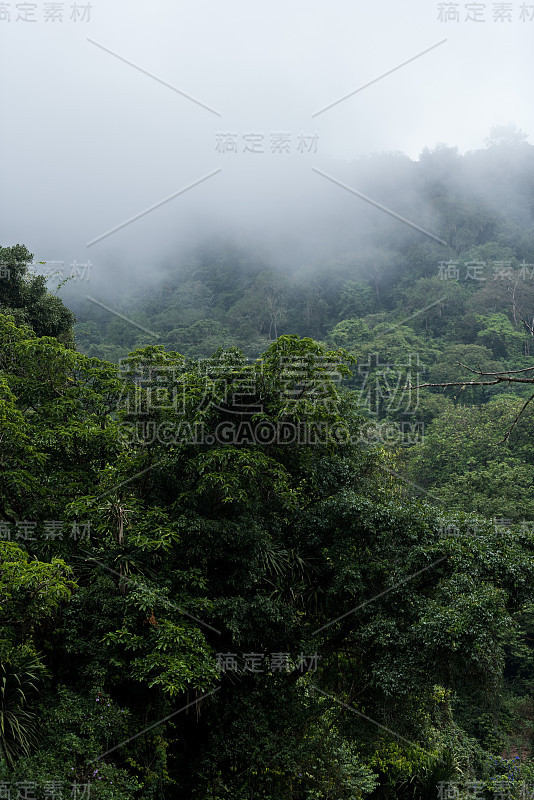 非洲中部赤道几内亚岛鸟瞰图