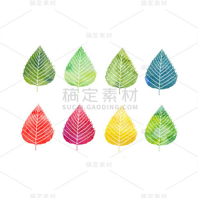 一组树叶水彩画