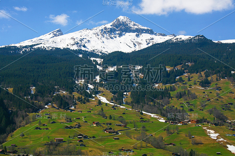 雪山村