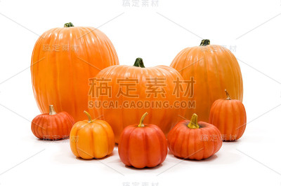 各种大小的南瓜在白色的背景