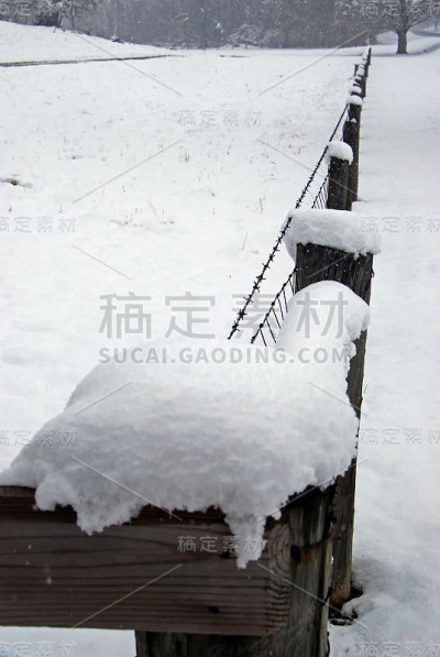 篱笆上雪
