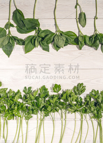 菜单的背景。白木背景上点缀着欧芹和罗勒