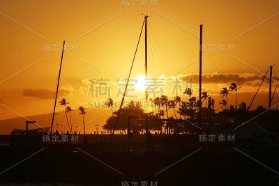 威基基海滩上的日落剪影