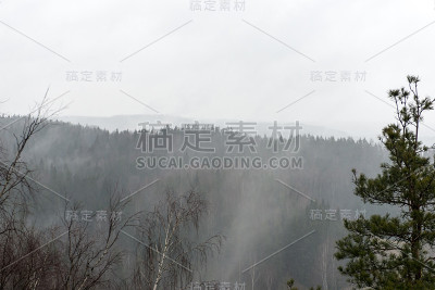 云雾雨林全景
