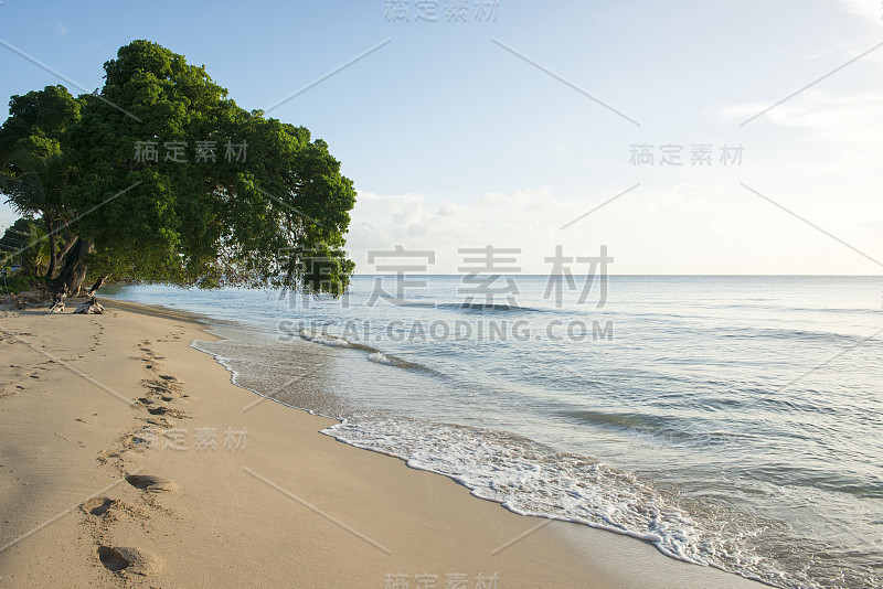 风景优美的海岛海滨，绿树蓝天