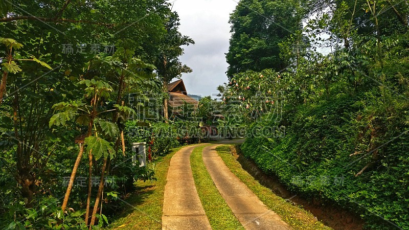 森林度假村