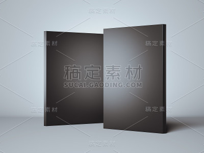 两个黑匣子。三维渲染